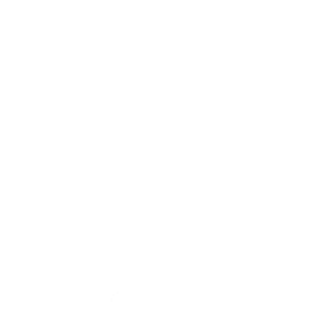 white gaini 2